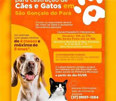 Cadastramento para Castração de Cães e Gatos em São Gonçalo do Pará 1